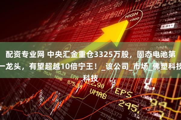 配资专业网 中央汇金重仓3325万股，固态电池第一龙头，有望超越10倍宁王！_该公司_市场_佛塑科技