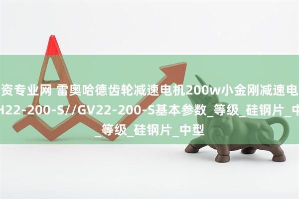 配资专业网 雷奥哈德齿轮减速电机200w小金刚减速电机 GH22-200-S//GV22-200-S基本参数_等级_硅钢片_中型