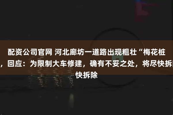 配资公司官网 河北廊坊一道路出现粗壮“梅花桩”，回应：为限制大车修建，确有不妥之处，将尽快拆除