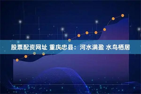 股票配资网址 重庆忠县:河水满盈 水鸟栖居